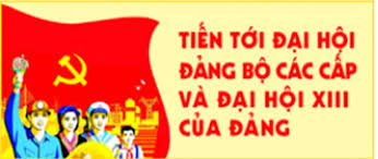   Hướng dẫn một số nội dung liên quan tới nghi lễ và tuyên truyền Đại hội Đảng bộ các cấp