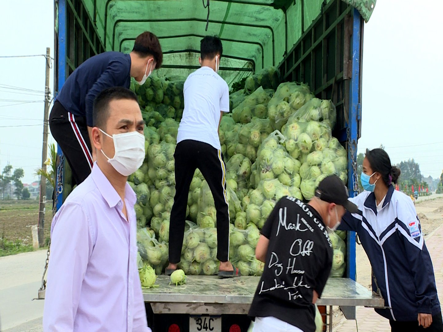 Số su hào ông Khánh mua hỗ trợ nông dân tỉnh Hải Dương và tặng lại cho người dân