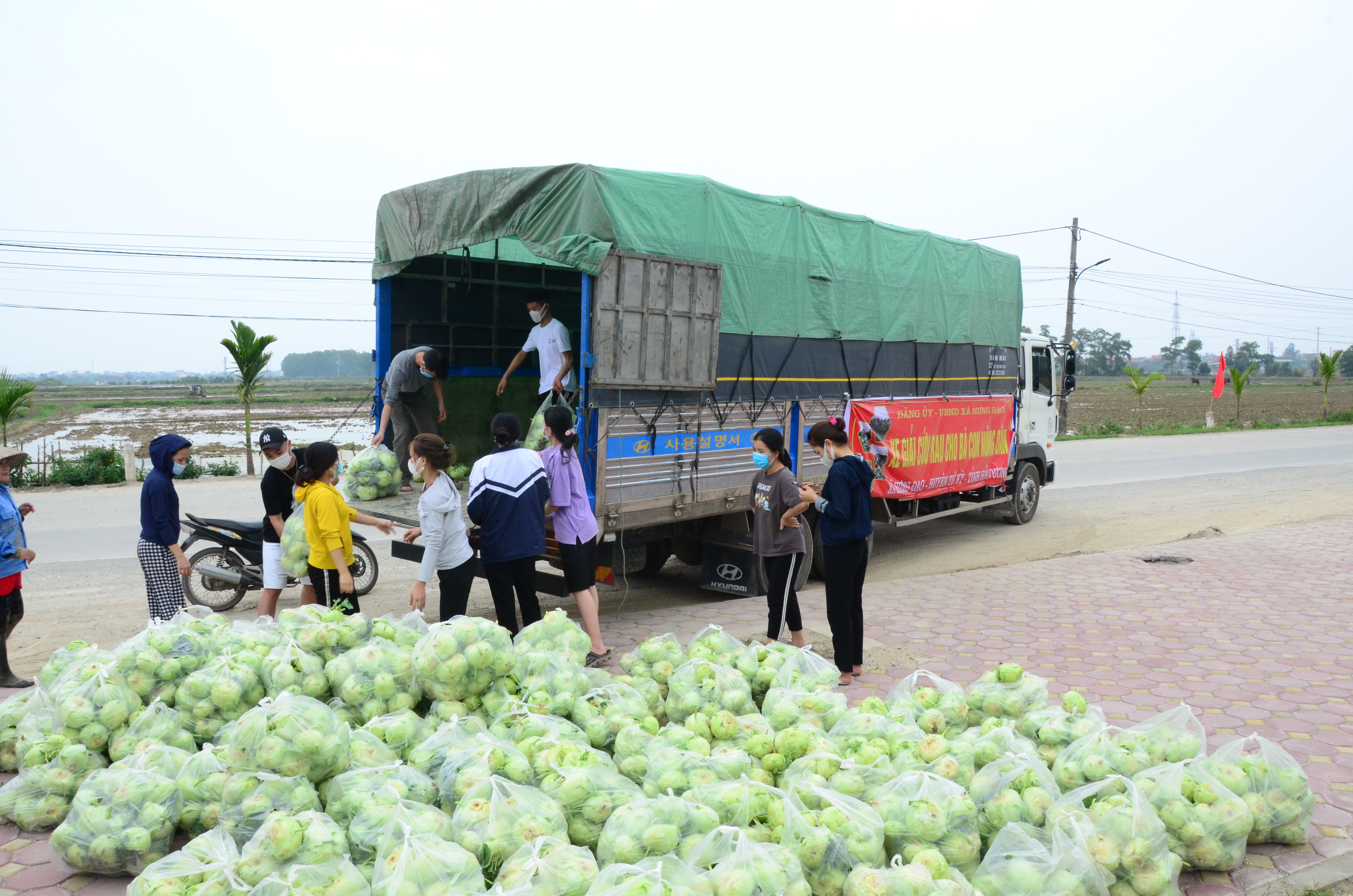   Một hộ gia đình ở thôn Cẩm Sơn, xã Cẩm Xá tiêu thụ nông sản cho vùng dịch Hải Dương và tặng lại cho người dân