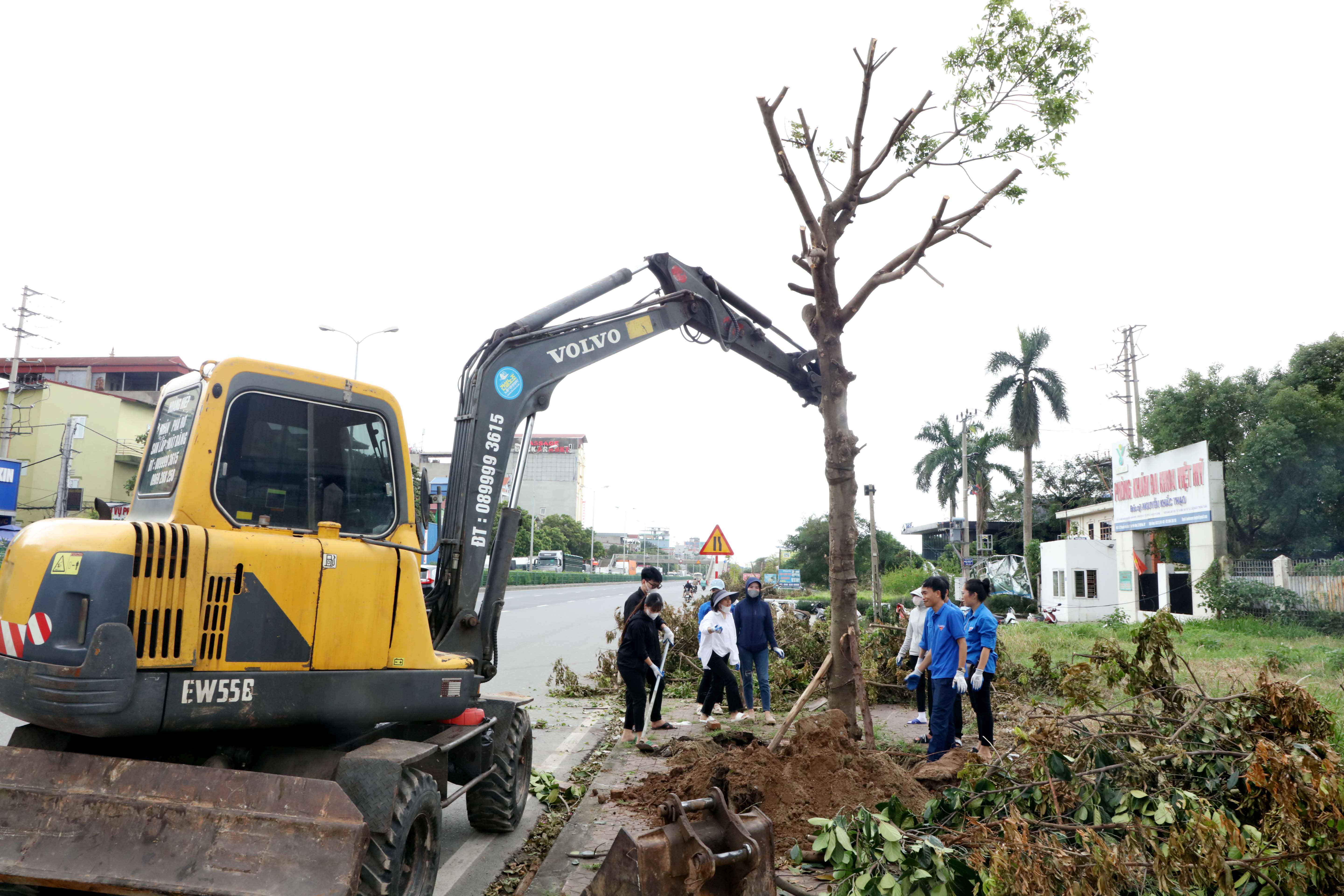 Các lực lượng, phương tiện tích cực trồng lại cây xanh 