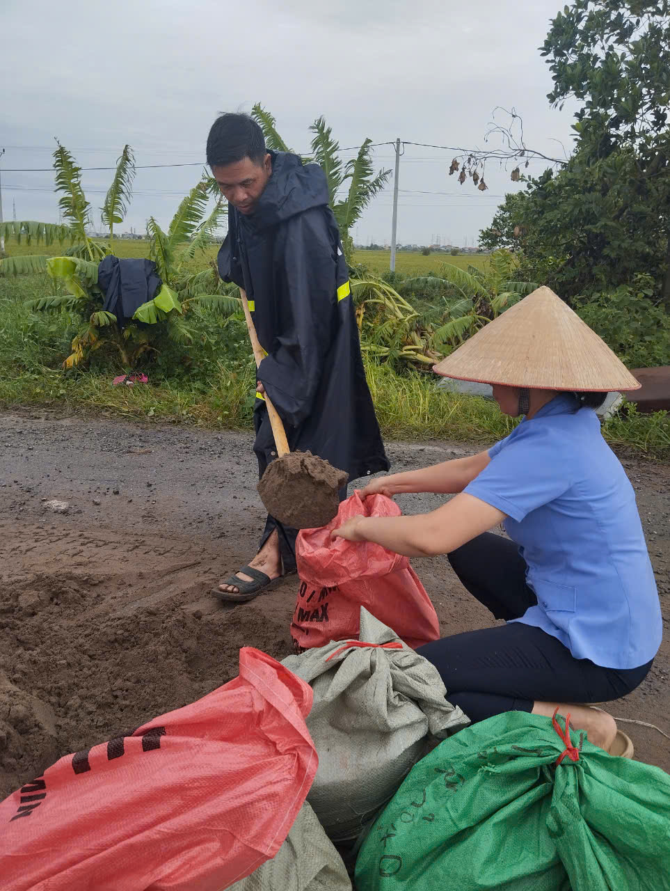 VKSND thị xã tham gia cùng bà con nhân dân xúc cát, vận chuyển qua sông đắp đê, đôn cao chống tràn.