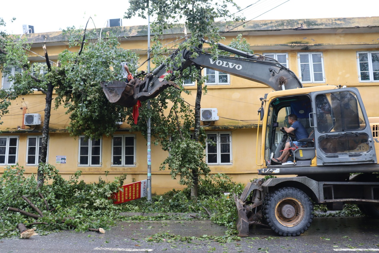   Phường Bần Yên Nhân nhanh chóng khắc khục hậu quả sau cơn bão số 3 (Yagi).