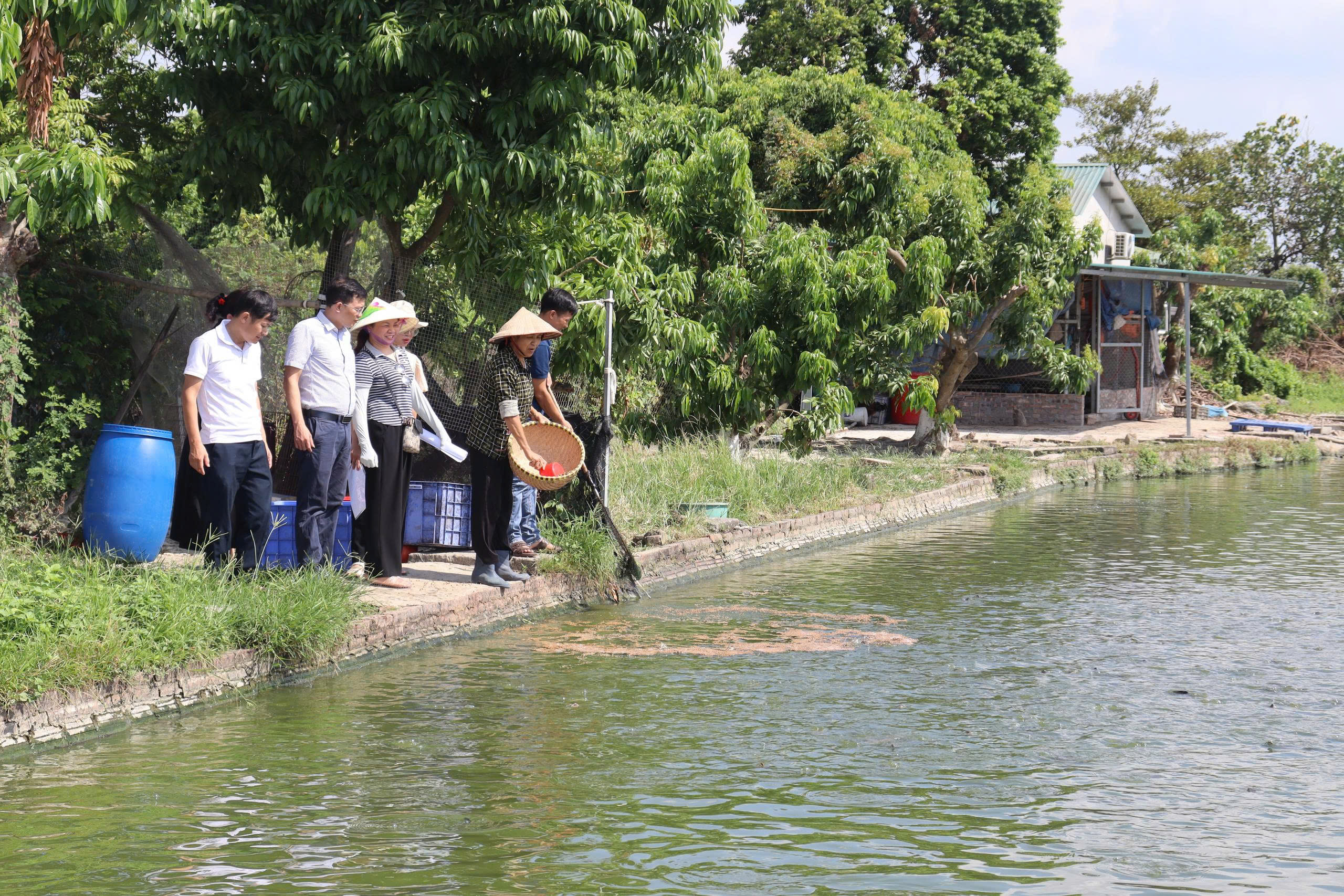 Đánh giá kết quả bước đầu thực hiện mô hình nuôi ghép cá chép V1 là chính trong ao tại phường Mỹ Hào